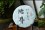 圖片 1