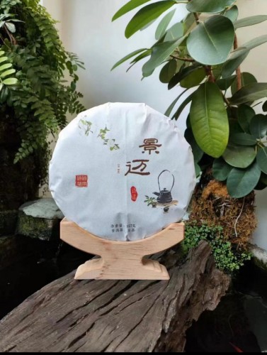 景邁 - 2024